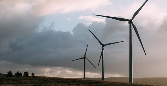 United Arab Emirates To Expand The Use Of Renewable Energy